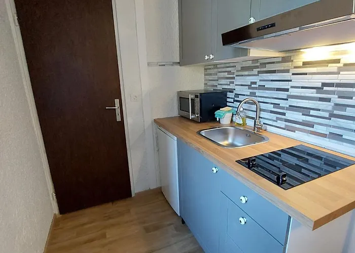 Cosy Pied Des Pistes, 4 Pers, Parking - Fr-1-516-185 Les Deux Alpes