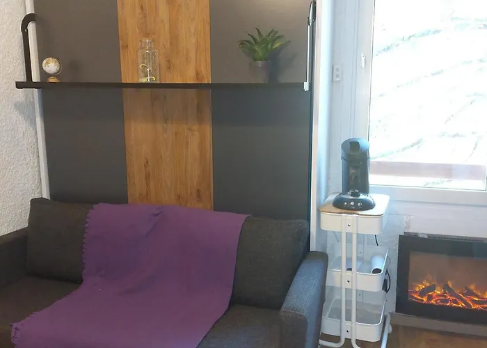 Cosy Pied Des Pistes, 4 Pers, Parking - Fr-1-516-185 Les Deux Alpes