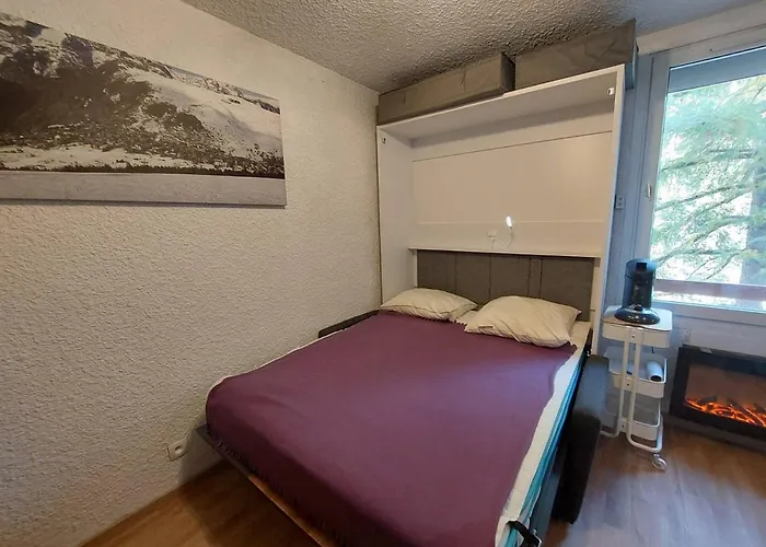 Cosy Pied Des Pistes, 4 Pers, Parking - Fr-1-516-185 Apartament Les Deux Alpes